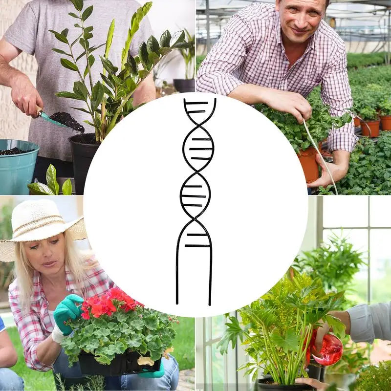 S15fe6670af734836b1b35678b54bb38dQ