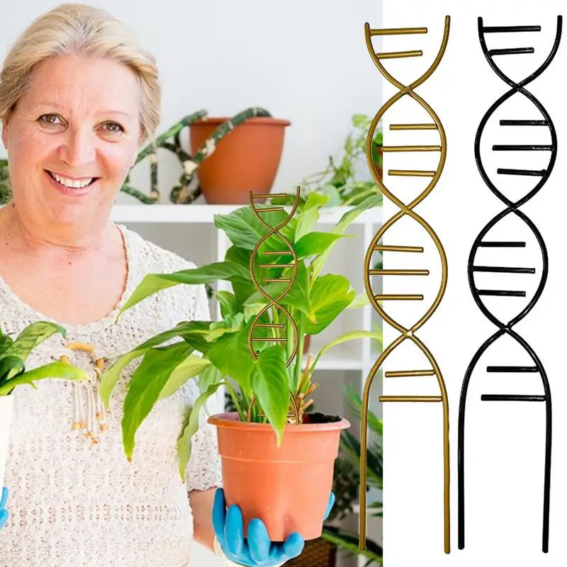 S42656d85bec2444d94081ef3adb8daafP